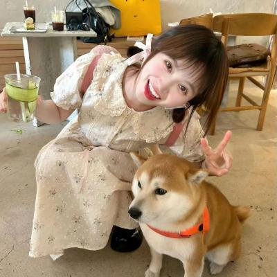 青春恋